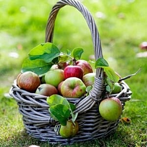 3 fall foods that will improve your skin [.title-sm.block.animate.fadeIn]Marotta Plastic Surgery Specialists[]