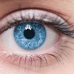 The Eyes Have It: All About Blepharoplasty (Infographic) [.title-sm.block.animate.fadeIn] Marotta Plastic Surgery Specialists[]
